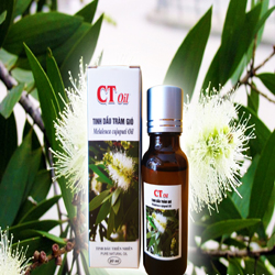 Mùi  thơm dịu nhẹ của hương sả chanh, làm mát không gian sống của bạn, cũng như giúp xua đuổi côn trùng hiệu quả